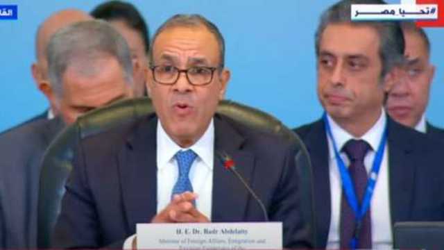 وزير الخارجية: «الأونروا» لا بديل لها داخل قطاع غزة