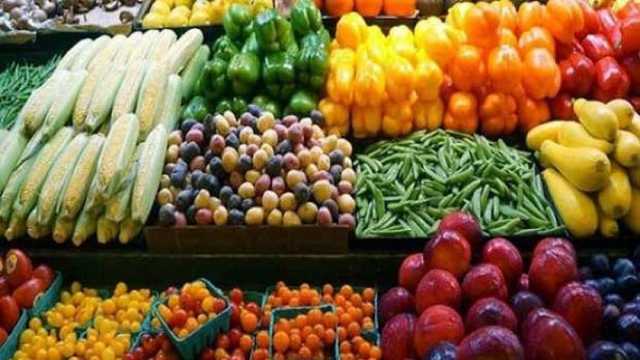 أستاذ اقتصاد: ارتفاع الصادرات الزراعية إلى 8.6 مليون طن خلال 2025