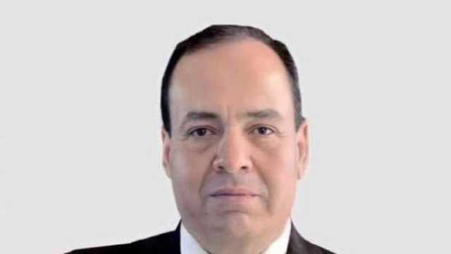 برلماني: قمة الدول الـ8 النامية انطلاقة جديدة لتعزيز التعاون الاقتصادي