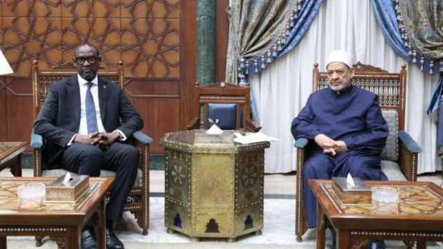 الإمام الأكبر: الأزهر لا يدخر جهدا في دعم استقرار الشعوب الإفريقية