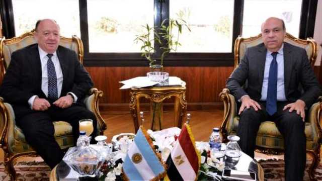 «الطيران المدني» تدرس إمكانية تشغيل رحلات مباشرة بين مصر والأرجنتين