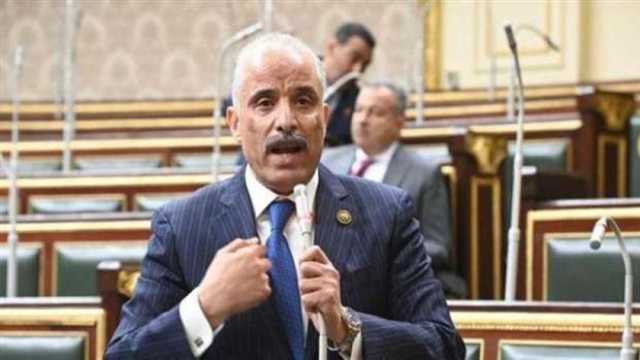 برلماني: إعادة إعمار غزة مسؤولية عربية ودولية لدعم صمود الفلسطينيين