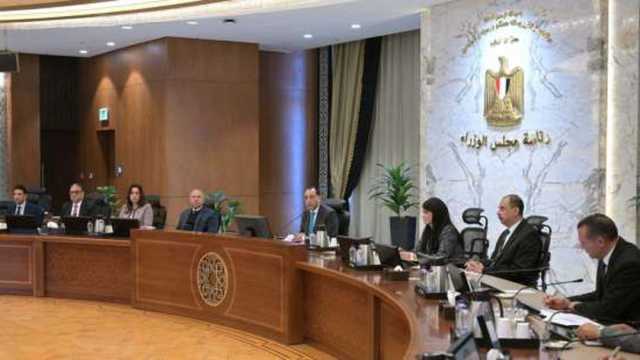 مدبولي: نتابع تنفيذ برنامج التنمية المحلية للصعيد بالتعاون مع الشركاء الدوليين