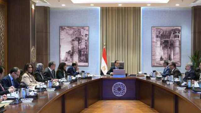 مدبولي: جار تطبيق إجراءات لتيسير التعاملات الجمركية لتحفيز نمو الاقتصاد المصري