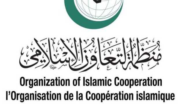 «الخارجية»: اجتماع طارئ لمنظمة التعاون الإسلامي لبحث الوضع في فلسطين