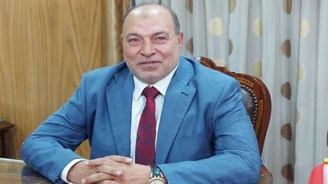 عضو بـ«النواب»: مصر تقود مسيرة تحقيق التكامل الاقتصادي بين دول قمة الثماني