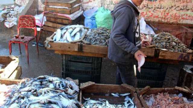 أسعار الأسماك في سوق المنيب بالجيزة اليوم الاثنين 24-2-2025