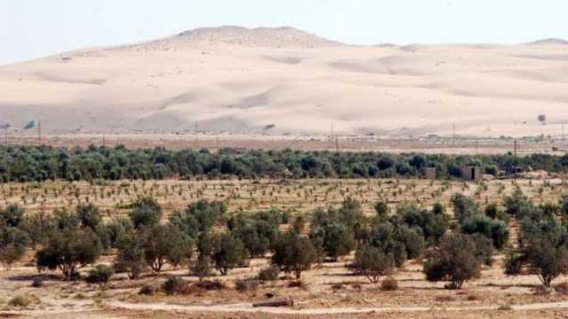تطوير المحميات وزراعة الغابات ومنع الصيد الجائر.. خطة طموحة للحفاظ على الطبيعة