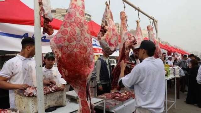 أسعار السلع في سوق اليوم الواحد بحلوان ومدينة نصر.. بتخفيضات 30%
