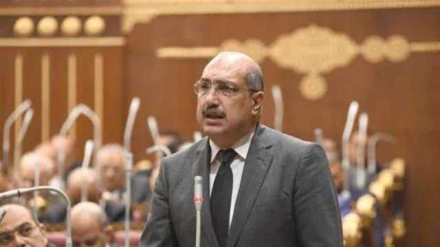 عضو بـ«الشيوخ»: مصر قدمت جهودا كبيرة لفلسطين تكللت بانتصار تاريخي