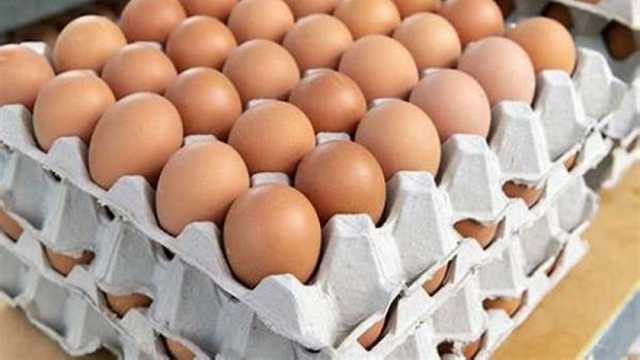 سعر كرتونة البيض اليوم الاثنين 24-2-2025 في الأسواق لمختلف الأصناف