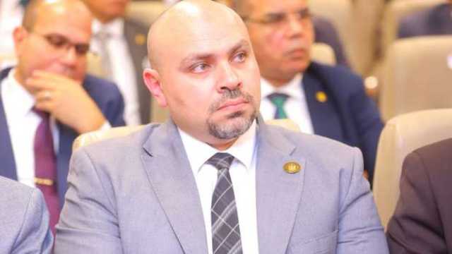 معاون وزيرة التضامن: نقدم دعما ماليا وفنيا لمؤسسات المجتمع الأهلي