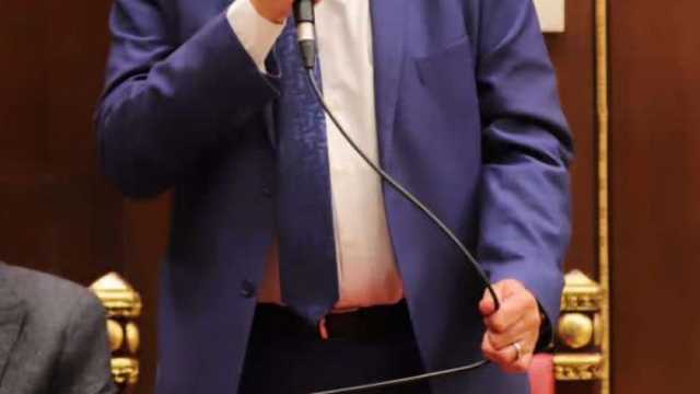 تساؤلات برلمانية بـ«الشيوخ» عن آليات دعم تطوير شركة مصر للطيران