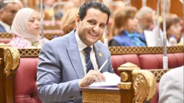 برلماني: مصر تقود دفة الدبلوماسية في المنطقة لصد أمواج التهجير