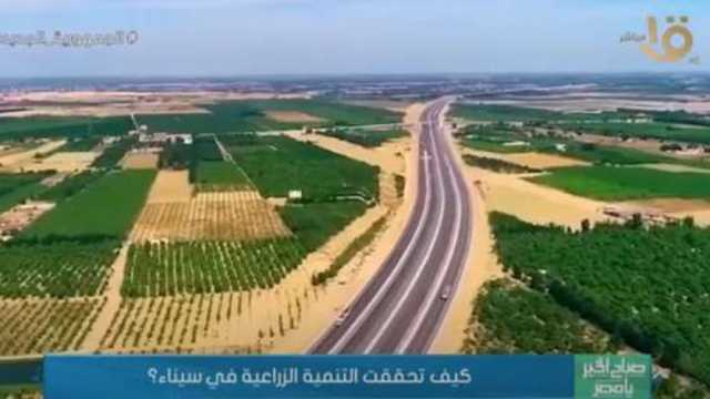 أستاذ زراعة: الدولة تسعى لجعل القطاع الزراعي المحور الأساسي في الصناعات