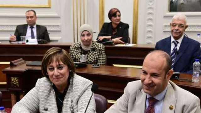 إدراج مشروع مستشفى الجراحة بجامعة المنوفية في الخطة الاستثمارية