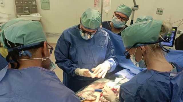 «الصحة»: تقديم خدمات مجانية لمرضى جراحات القلب في مستشفى الشيخ زايد التخصصي
