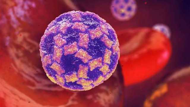 أعراض المتحور الجديد 2024.. XEC بدأ في ألمانيا وانتشر شتاء