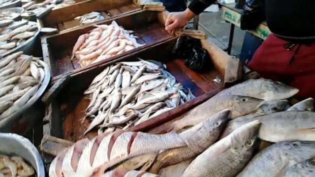 أسعار السمك اليوم الاثنين 23-12-2024