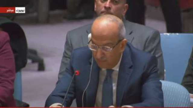 مندوب مصر بالأمم المتحدة: العدوان الإسرائيلي على غزة ولبنان يزعزع استقرار المنطقة