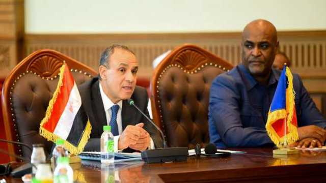 وزير الخارجية: الشركات المصرية مستعدة لتنفيذ مشروعات عملاقة في تشاد