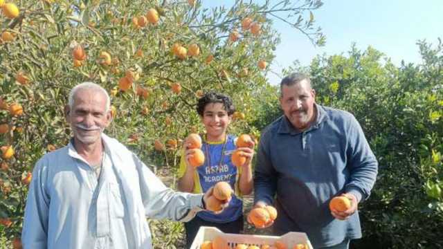 «الزراعة» تعلن انطلاق موسم تصدير البرتقال المصري للأسواق العالمية