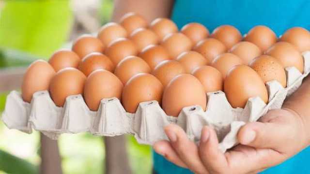 سعر كرتونة البيض اليوم الأربعاء 4-12-2024 في الأسواق