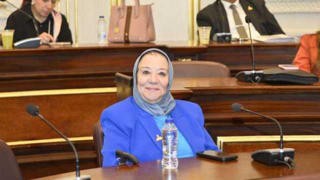 عضو بـ«الشيوخ»: الموقف المصري تجاه القضية الفلسطينية سيذكره التاريخ