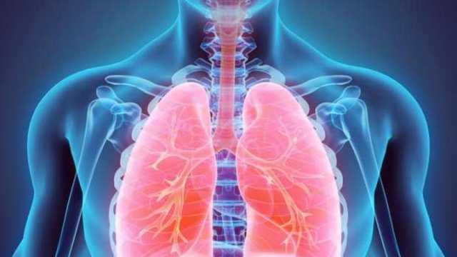 5 طرق طبيعية لتطهير رئتيك.. «هتتنفس من غير تعب»