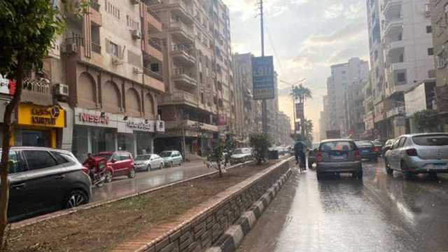 سقوط أمطار على القاهرة.. اعرف حالة الطقس ودرجات الحرراة اليوم (فيديو)