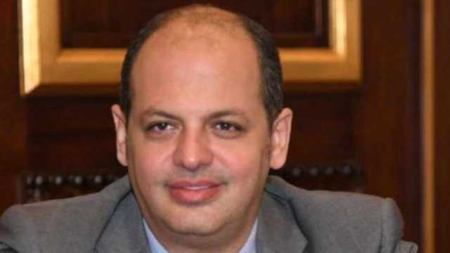 عضو بمجلس الشيوخ: تحريف تصريحات ملك الأردن تستهدف تفتيت التلاحم العربي