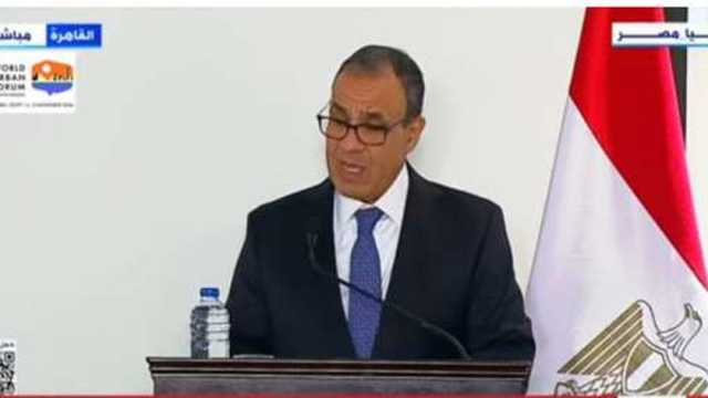 وزير الخارجية: اعتراف أيرلندا بالدولة الفلسطينية موقف شجاع