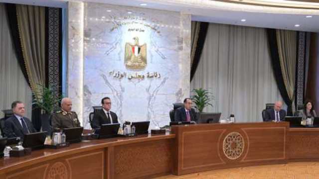 مجلس الوزراء يلغي تخصيص عدة مناطق صناعية وتعيدها لأملاك الدولة