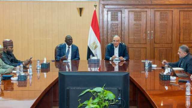 وزير الري يلتقى نظيره النيجيري للتباحث حول سبل تعزيز التعاون بين البلدين