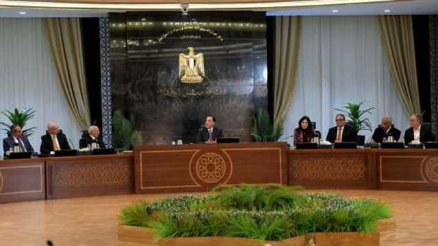 رئيس الوزراء: اللجان الاستشارية المتخصصة عصب الاقتصاد المصري