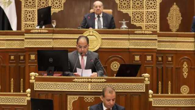 عضو بـ«الشيوخ» يطالب بتطوير آليات البحث العلمي في مصر