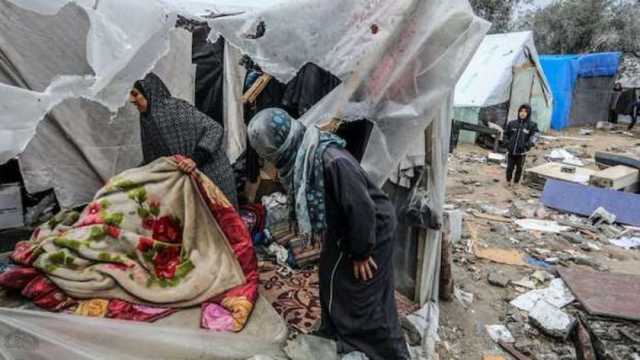 منظمة دولية تكشف حجم الانتهاكات الإسرائيلية في غزة.. استوفت معايير الإبادة الجماعية