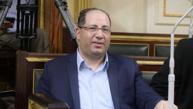 النائب أحمد نويصر يثمن جهود القيادة المصرية لوقف إطلاق النار في غزة