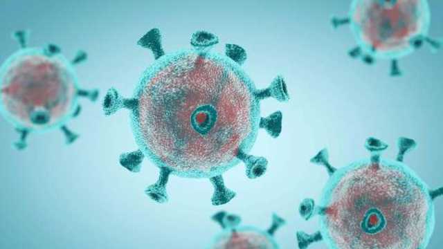 فيروس يدق ناقوس الخطر في الجزائر.. 4 فئات أكثر عرضة للإصابة