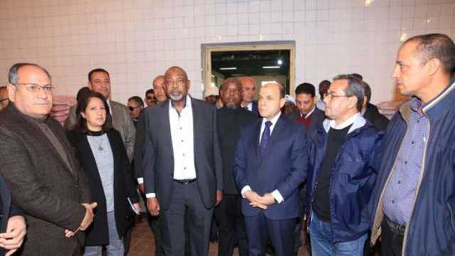 المستشار التجاري النمساوي: زيادة حجم الصادرات المصرية إلى بلادنا