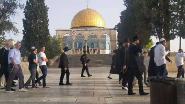 المستوطنون الإسرائيليون يواصلون اقتحام المسجد الأقصى وسط حماية مشددة
