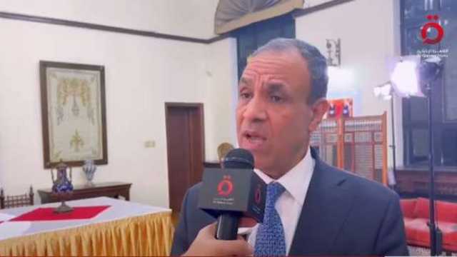 وزير الخارجية: توافق مصري - صيني على ضرورة إطلاق عملية سياسية في سوريا