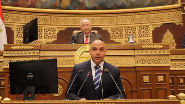 «الشيوخ» يناقش تطوير المطارات.. وتوصية باستخدام جواز السفر الإلكتروني