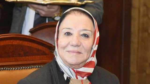 النائبة حياة خطاب: شائعات لجان وكتائب الاخوان لن تؤثر على عزيمة مصر