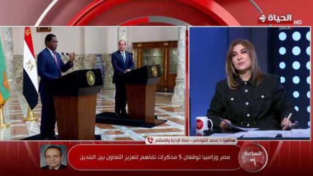 أستاذ إدارة: القطاع الخاص المصري أمام فرصة ذهبية للاستثمار في زامبيا
