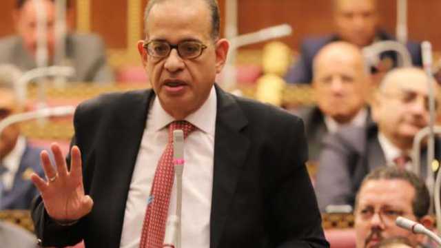 «برلمانية الوفد»: اتفاقية الهدنة في غزة أنهت أكبر معاناة شهدها التاريخ الحديث