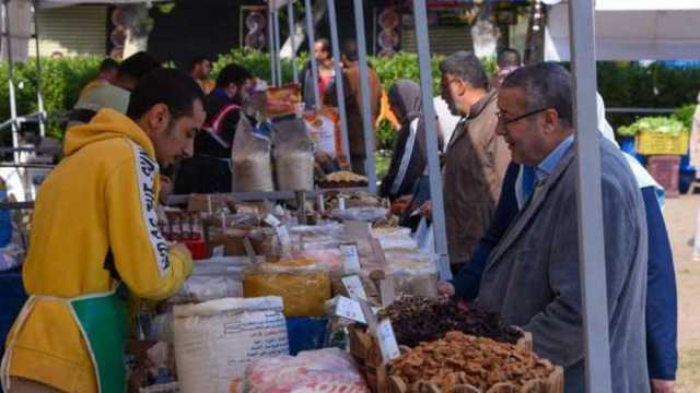 انطلاق سوق اليوم الواحد في منطقة المنشية بالإسكندرية غدا.. 20 منفذا
