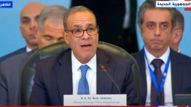 وزير الخارجية: إسرائيل ترتكب الفظائع في غزة على مرأى ومسمع من العالم