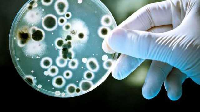 خطر غير مسبوق يهدد الحياة على الأرض بسبب الكائنات الحية الاصطناعية.. عدوى مميتة