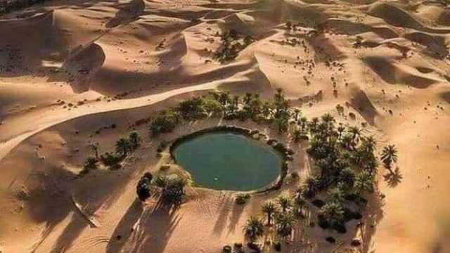 رحلات سياحية إلى واحة سيوة للأجانب والمصريين.. كنز تراثي